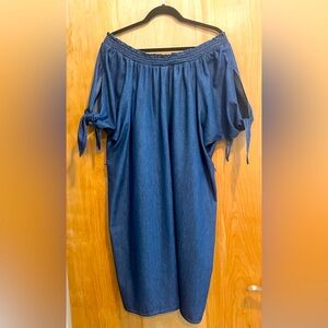Terra & Sky | Dresses | Off Shoulder Denim Dress | Poshmark